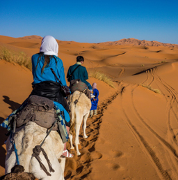 A couple trekking Sahara desert on a camel during one of their best dates. 