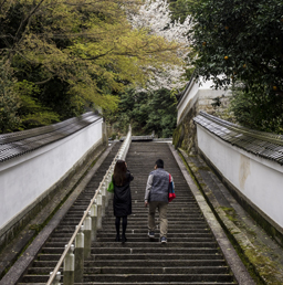 A couple going up a flight of stairs during one of their best dates in one of the temples of Kyoto, Japan.