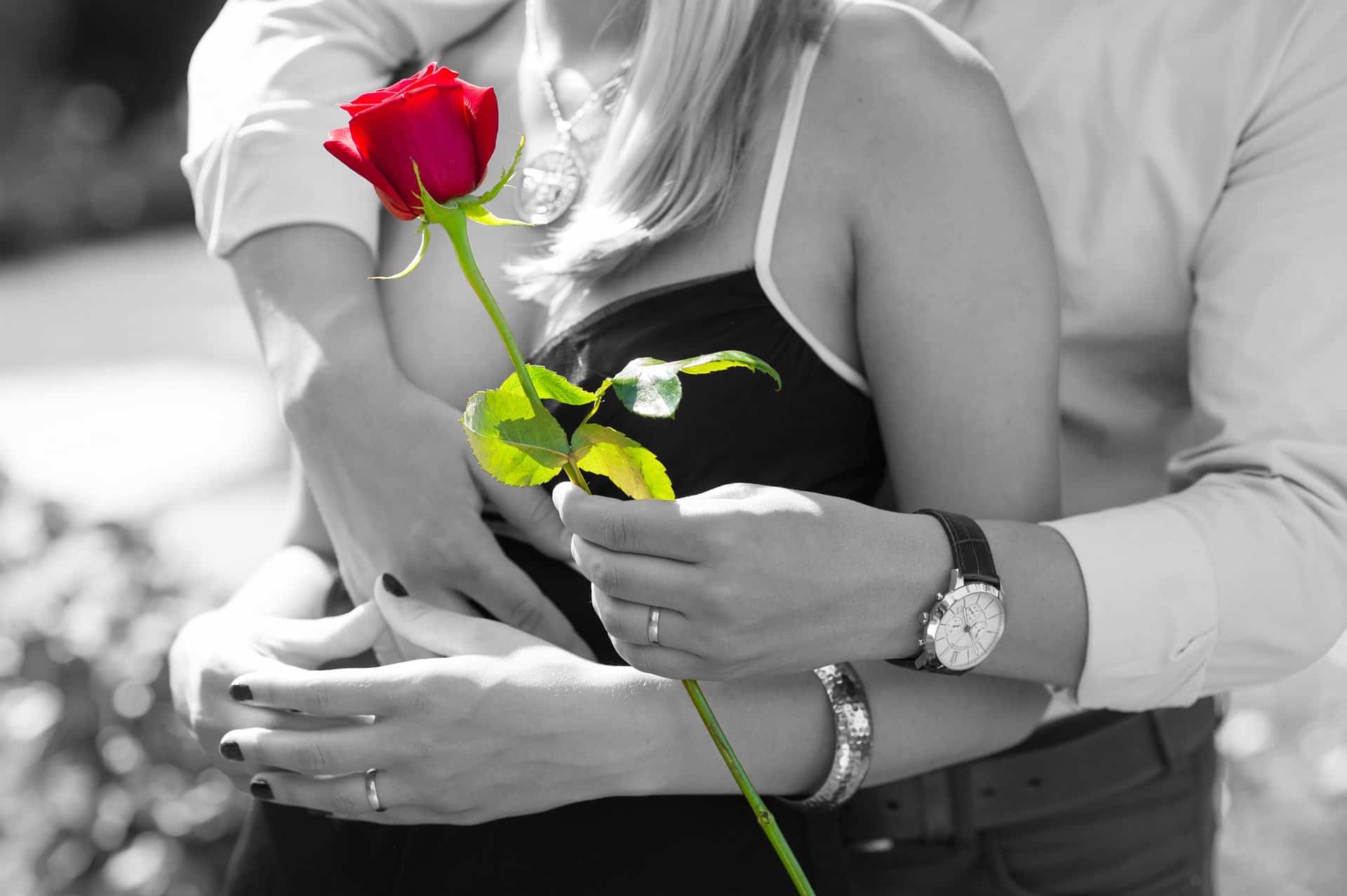 Man presenting woman with a red rose.